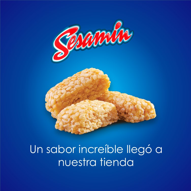 
                  
                    Dulce de Ajonjolí Sesamín 400g
                  
                